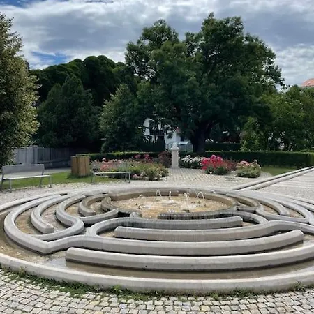 Morris Vacka Veszprém