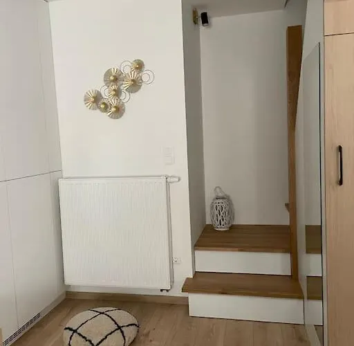 Morris Vacka * Veszprem